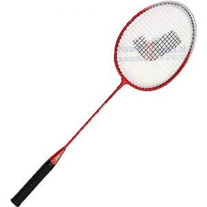 Badminton net, Badminton net huren, Badminton rackets, Badminton shuttles, Huren badminton set, Team-activiteit, Badminton spelen, Badminton racket,